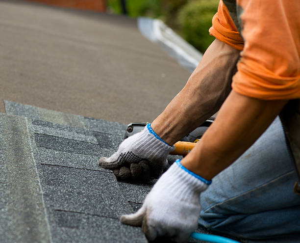 Professional Roofing in Columbus Grove, OH